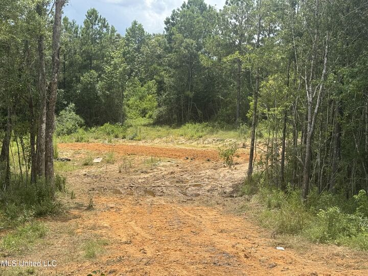 Property Photo: 198 Beaver Dam Road MS 39561