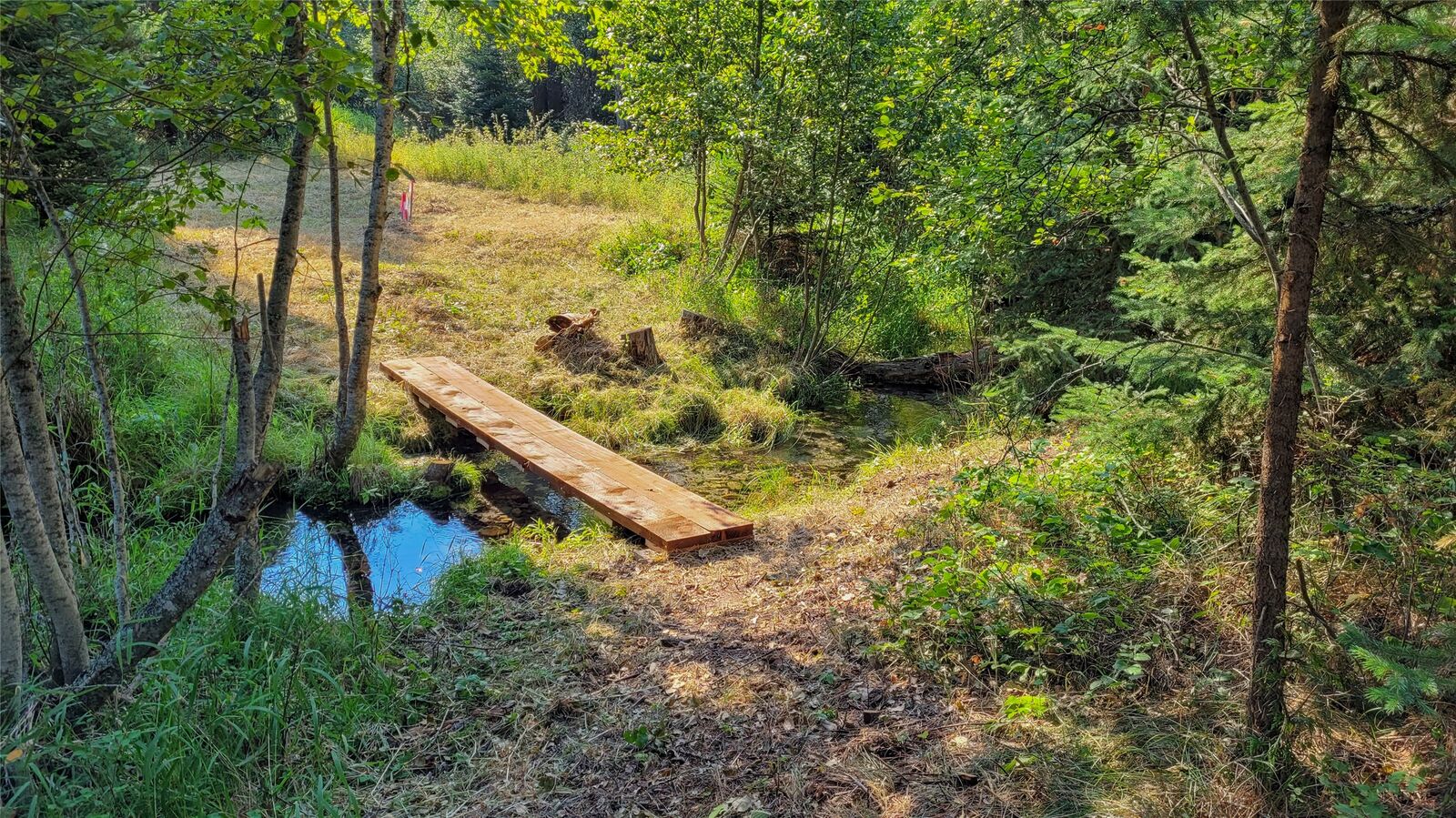 Property Photo:  349 Champion Haul Road S  MT 59923 