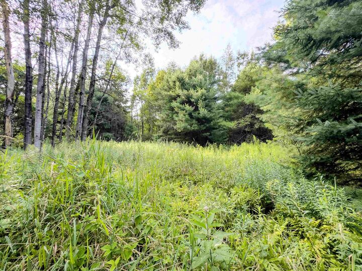 Property Photo: 00 Woodsville Road NH 03771