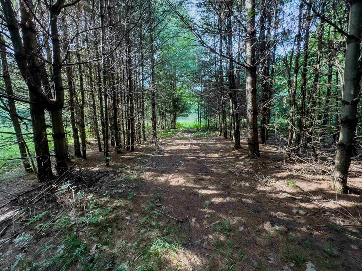 Property Photo:  00 Woodsville Road  NH 03771 