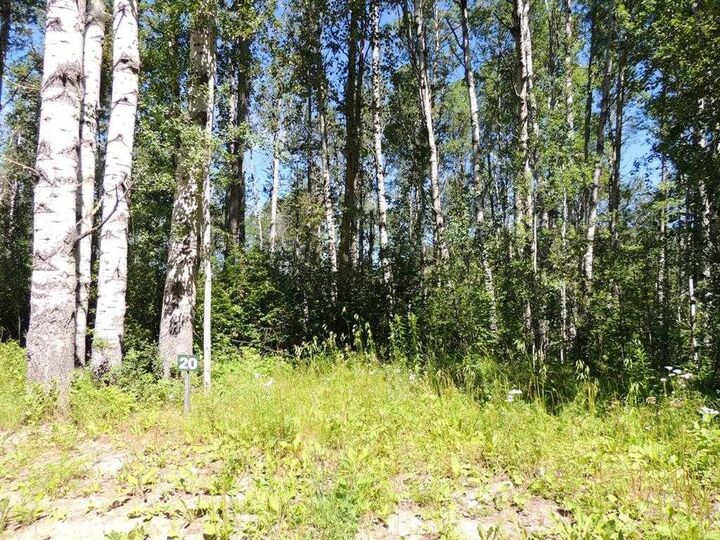 Property Photo: Lot #20 Wapiti River SW-21-69-10-W6 AB T0H 1J0