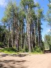 Lot #7 Wapiti River SW-21-69-10-W6 — photo 1