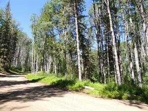 Property Photo: Lot #10 Wapiti River SW-21-69-10-W6 AB T0H 1J0