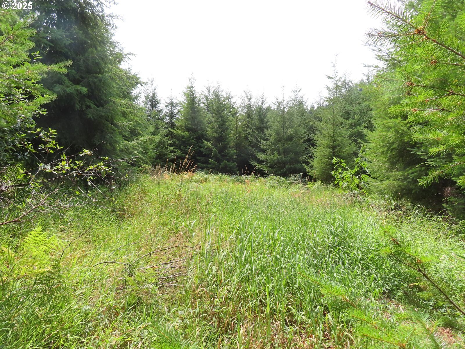 Property Photo:  Mill Creek Ln E  WA 98632 