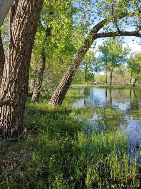 Property Photo:  50100 E 48th Avenue  CO 80102 