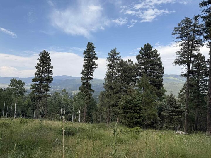 Property Photo: Lot 106 Zia Rd NM 87710