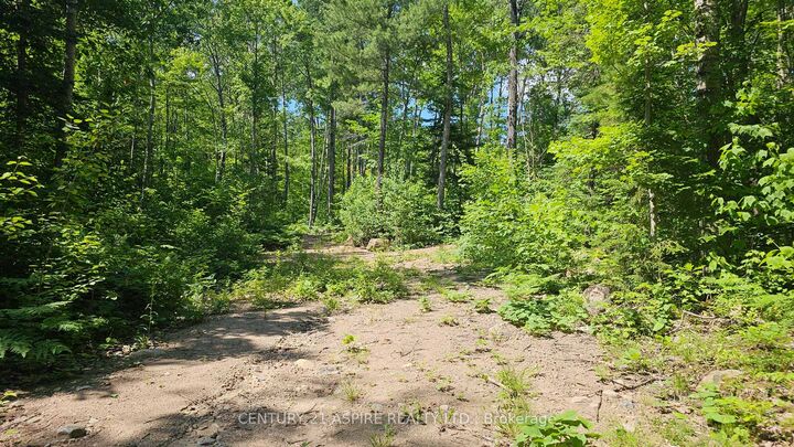 Photo de la propriété:  11072 Opeongo Road  ON K0J 1B0 