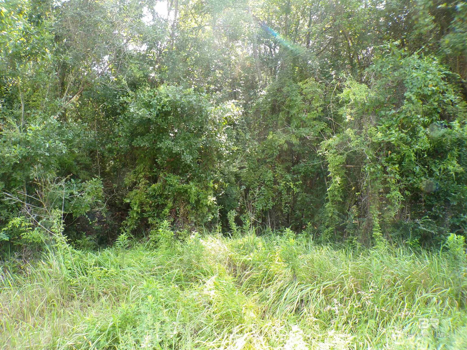 Property Photo:  Lipscomb Road  AL 36535 