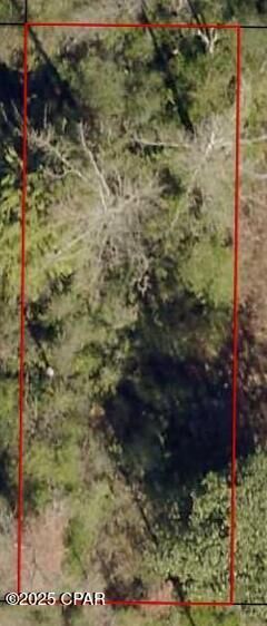 Property Photo:  0 Dogwood Street  FL 32438 