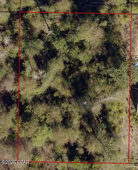 Property Photo: 0 Krocus Street FL 32438