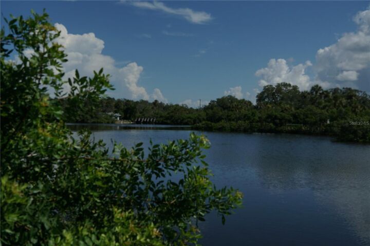Property Photo: Tiberius Trail FL 34652
