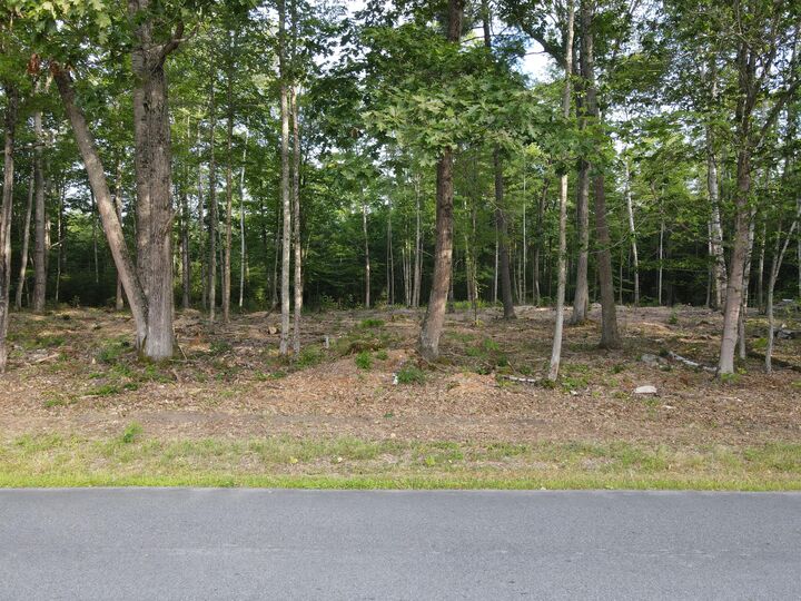 Property Photo: Lot 4 Oak Pond Road ME 04967
