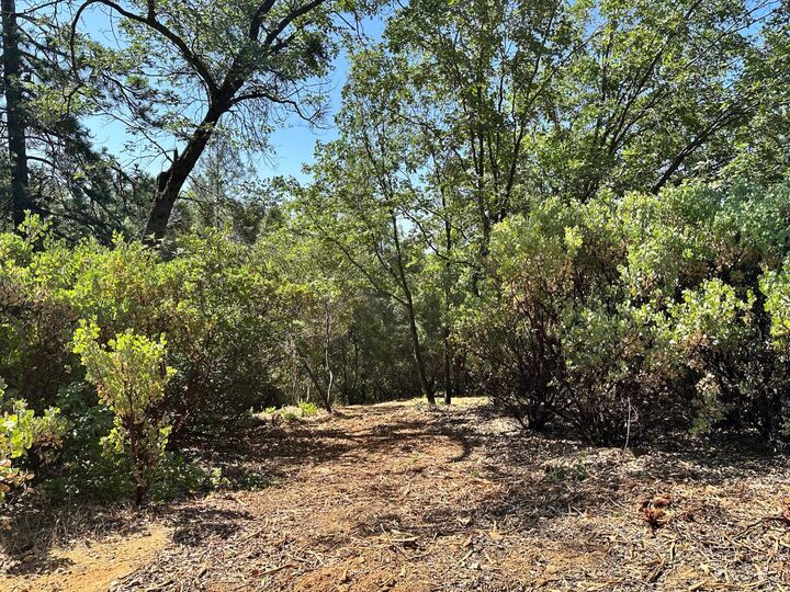 Property Photo:  16709 E Summit View Drive  CA 95722 