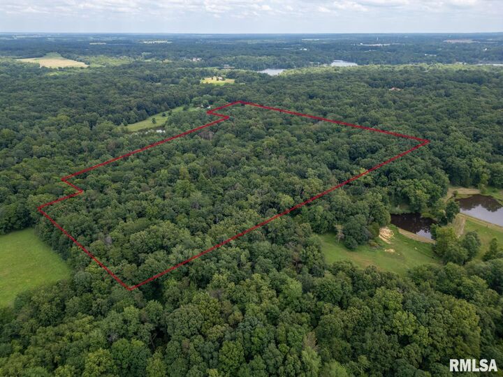 2655 McReynolds Lane  West Frankfort IL 62896 photo