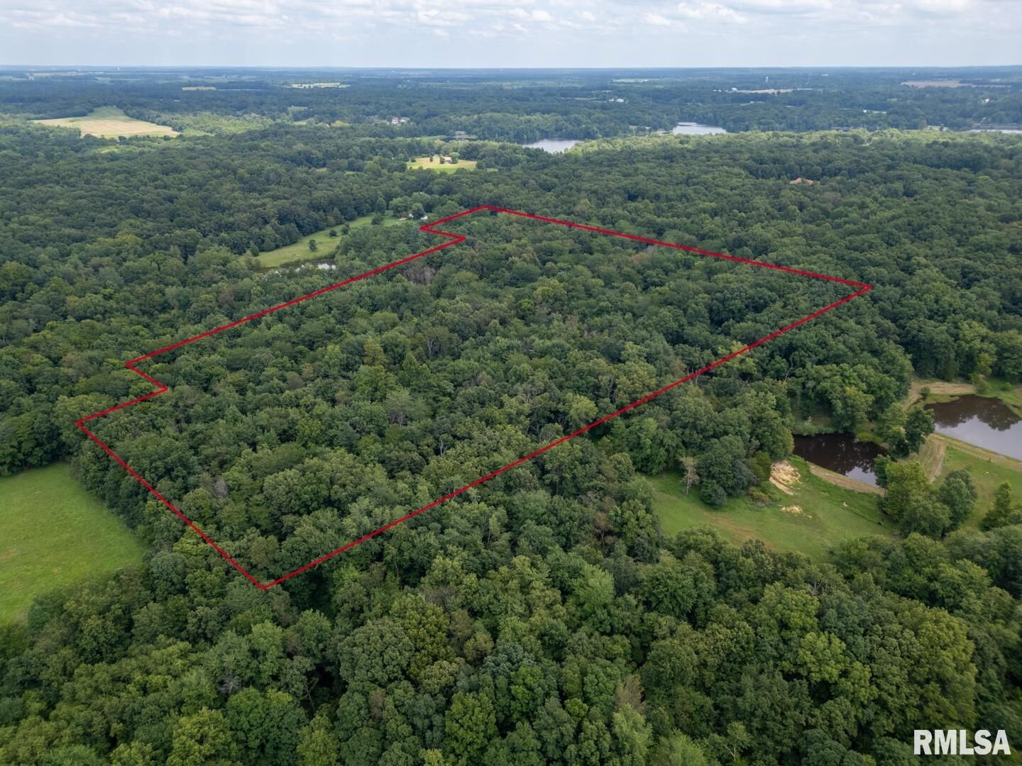 Property Photo:  2655 McReynolds Lane  IL 62896 