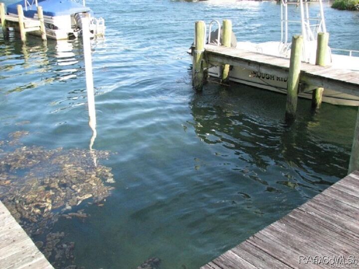Property Photo: 216 NW Bay Path Drive FL 34428