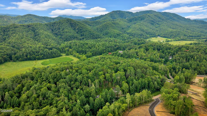 Property Photo:  2485-2489 Waldens Creek Road  TN 37862 