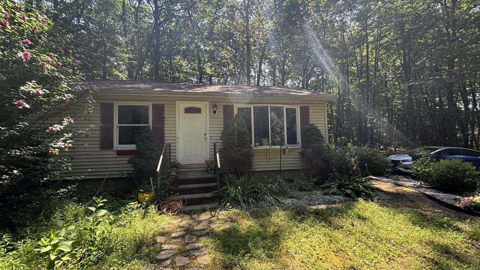 Property Photo: 220 Buena Vista Road CT 06238