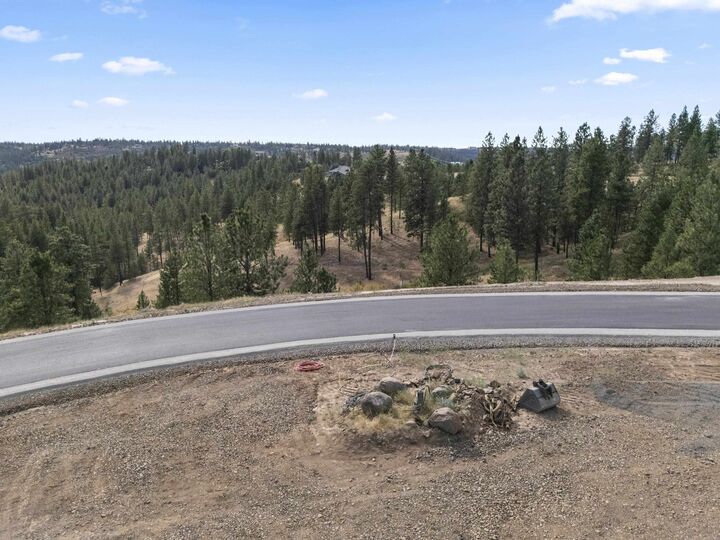 Property Photo:  18xx1 Balsam Hill Ln Lot 1  WA 99036 