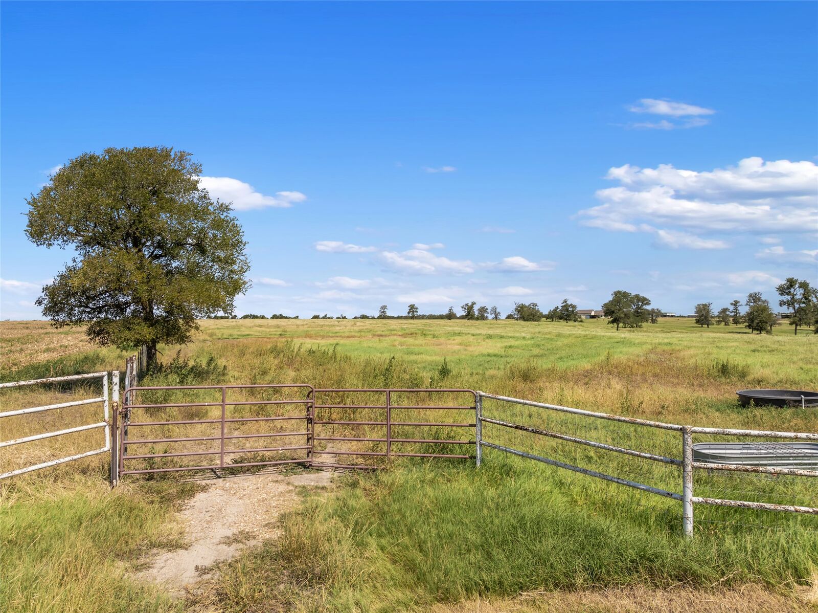 Property Photo:  12500 County Line Road  TX 78621 