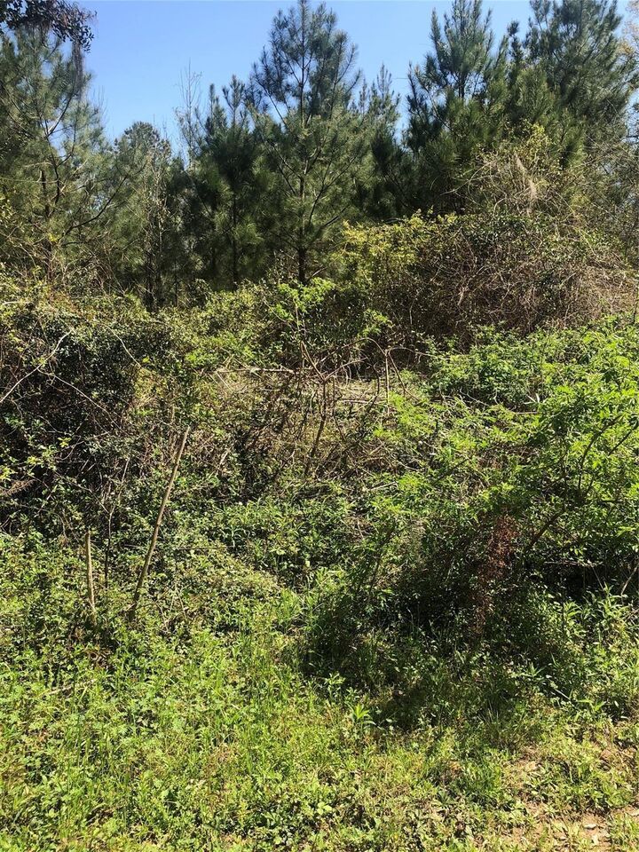 Property Photo:  0 Piney Lane  TX 77331 