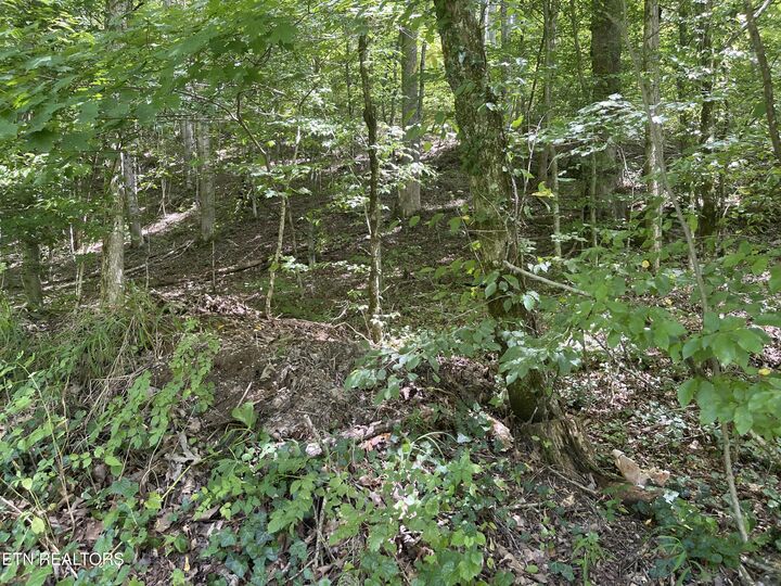 Property Photo:  6030 Cherokee Indian Circle  TN 37878 