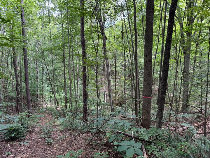Property Photo:  0 Holiday Lake Road  VA 24522 
