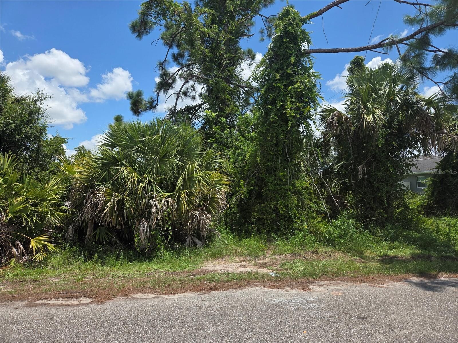 Property Photo:  Selover Road  FL 34287 