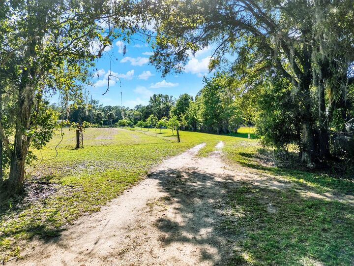 Property Photo:  187 N Samsula Drive  FL 32168 