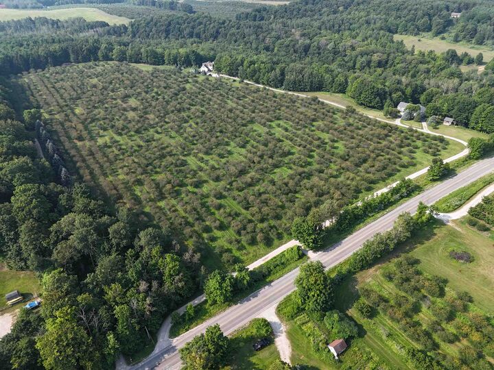 Property Photo: V/L E Tatch Road MI 49670