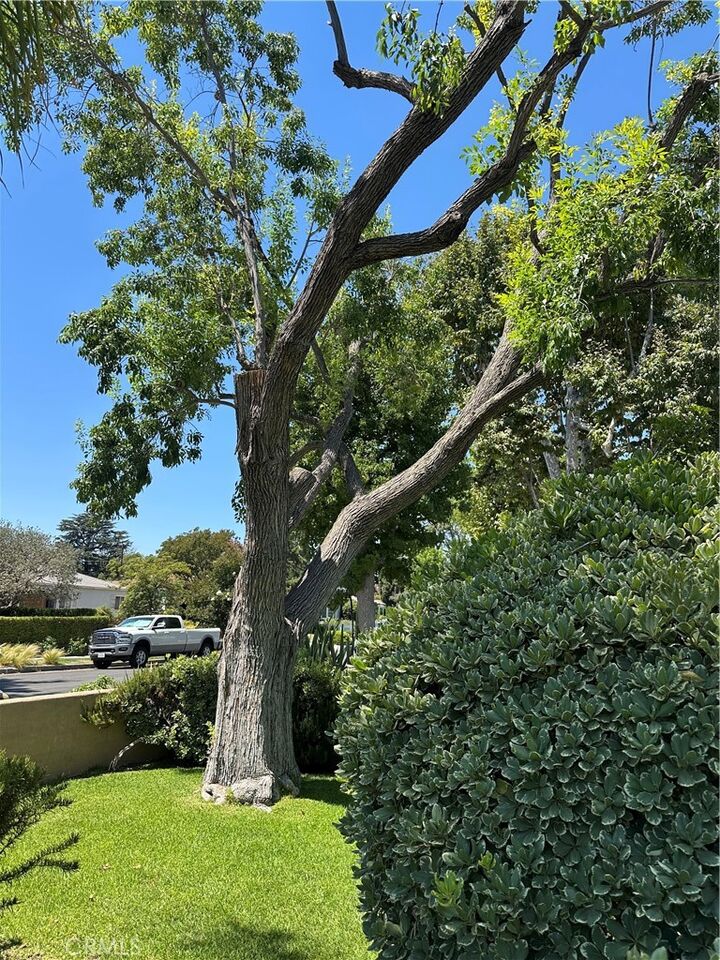 Property Photo: 4910 Willowcrest Avenue CA 91601
