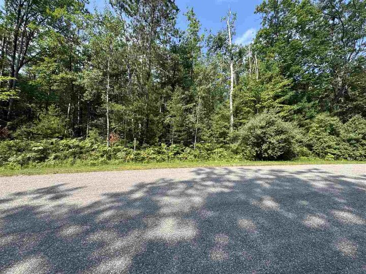 Property Photo: 3563 Lake Marina Lot 117 MI 49749