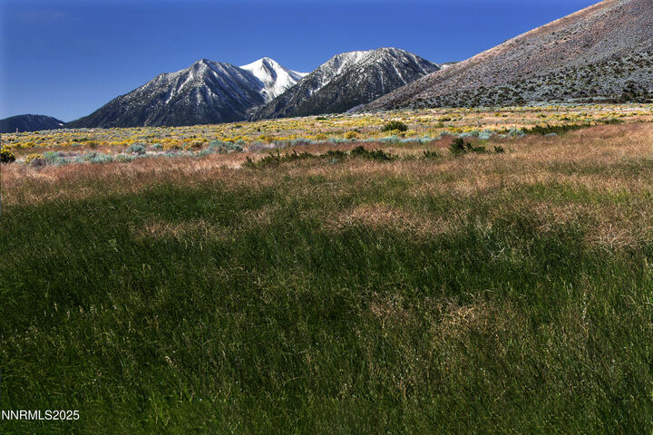 Property Photo: 315 James Canyon Loop NV 89411