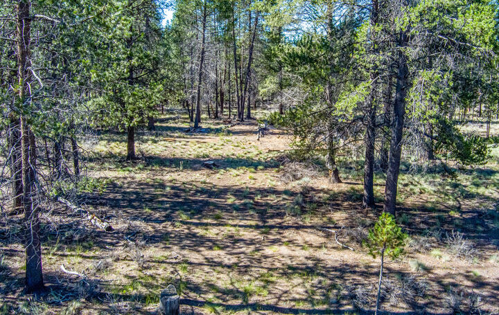 Property Photo:  Tl 8700 Alderwood  OR 97739 