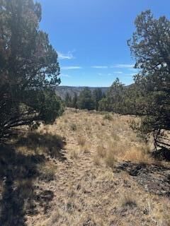 Property Photo:  SE Renegade Loop Lot 17 &Amp 18  OR 97754 