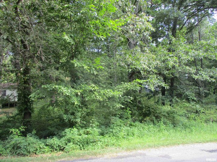Property Photo:  0000 White Birch Court  IL 62812 