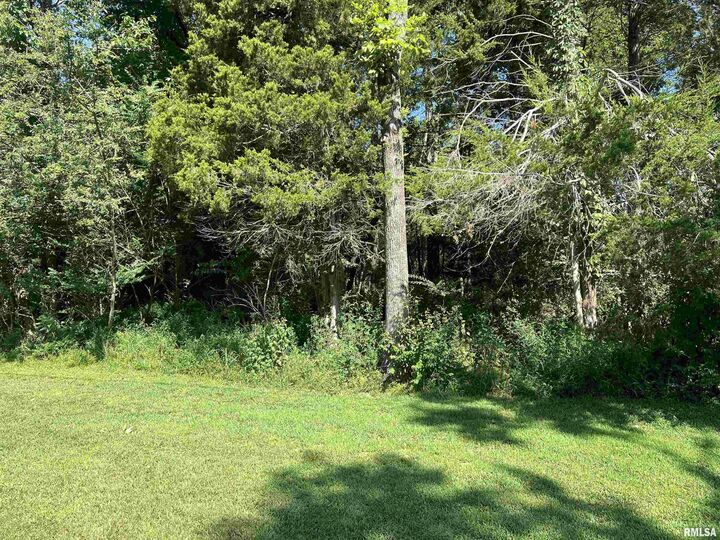 Property Photo: 000 Thebes Way IL 62922