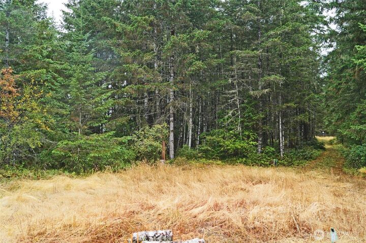 Property Photo:  0 Near 782 E Island Lake Drive  WA 98584 
