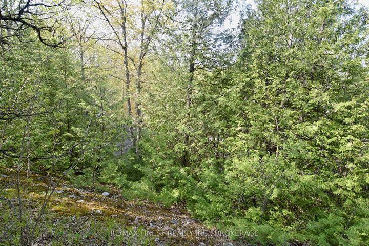 Property Photo:  20B Ballantra Drive  ON K0K 3G0 