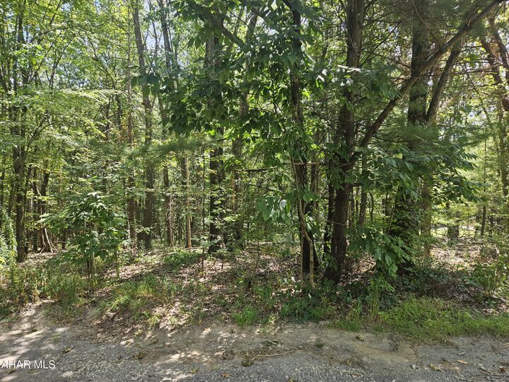 Property Photo:  222 Hazel Drive  PA 16686 