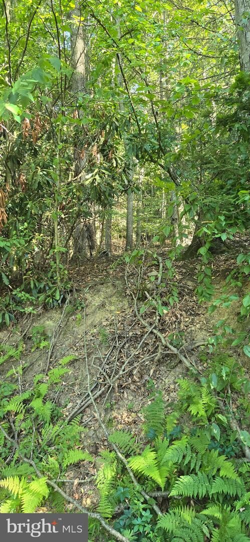Property Photo:  0 Ridge Road  PA 17930 
