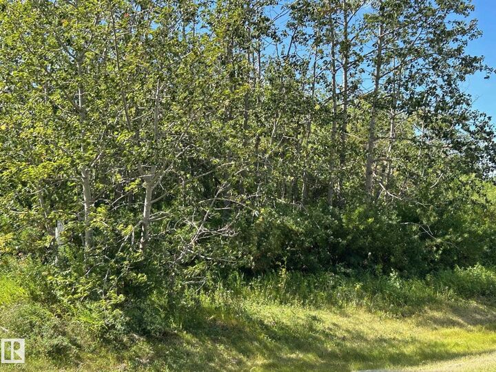 Property Photo:  208 Oak Street  AB T0A 1N6 