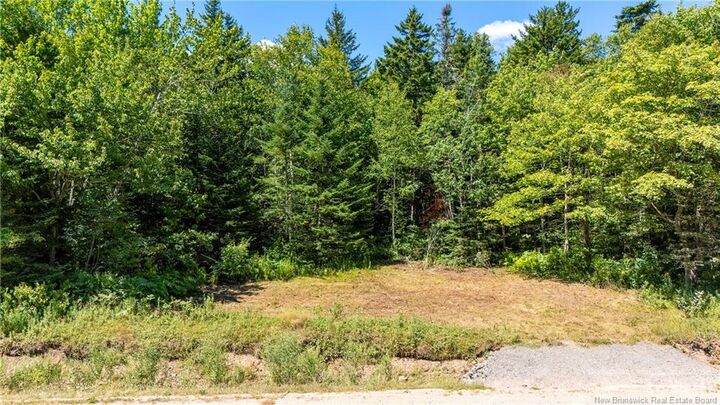 Property Photo: Woodlot Route 935 NB E4K 3N1