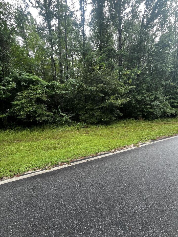 Property Photo: 0 SE Liberty Street GA 30824