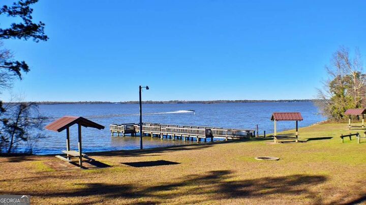 Property Photo:  Lot 5/6 Block A, Mountain View Way  GA 39819 