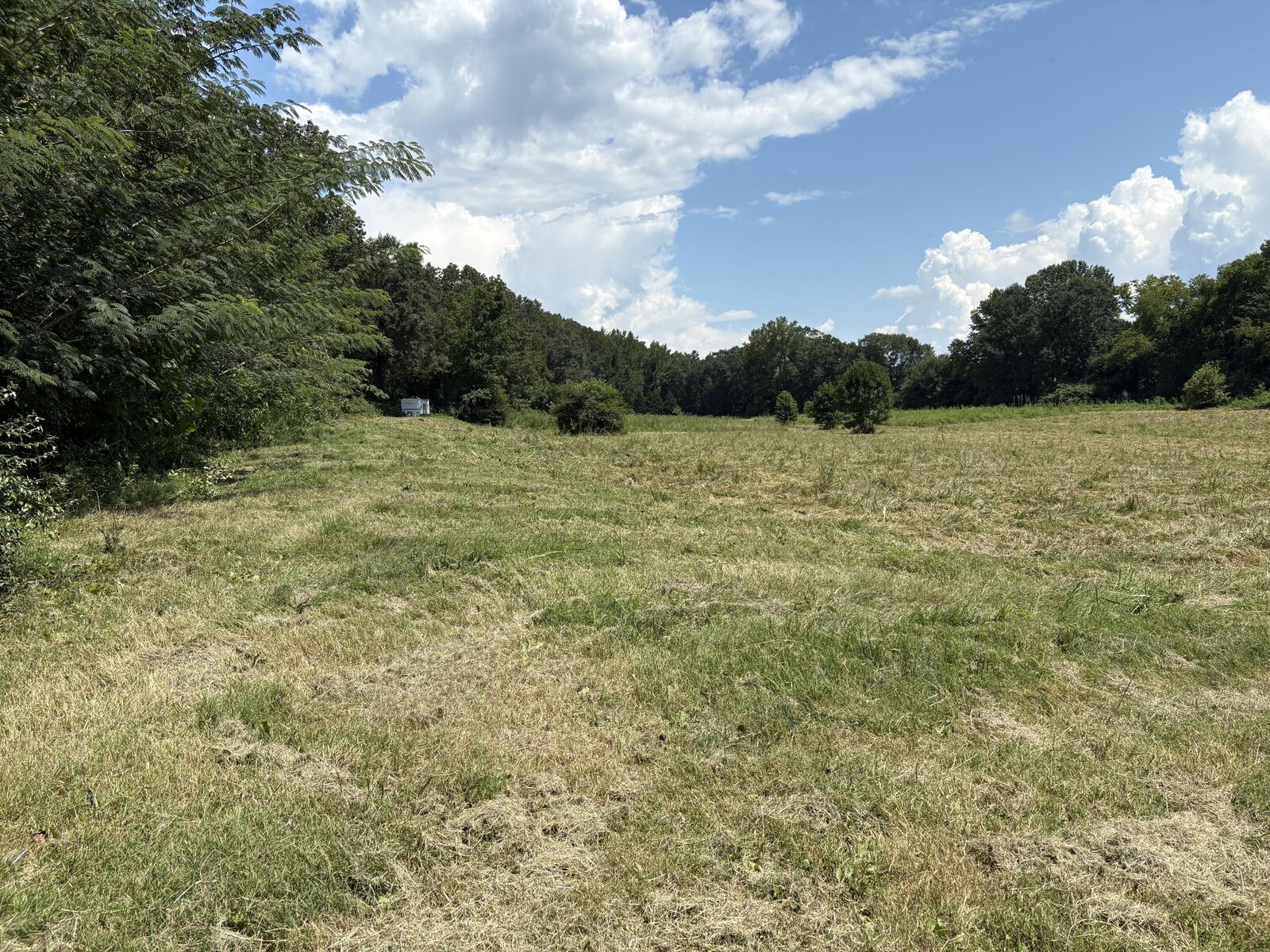 Property Photo: 975 S Magnolia South Street TN 37397