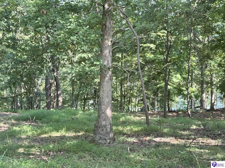 Property Photo: 62 Lakeshore Parkway KY 40108