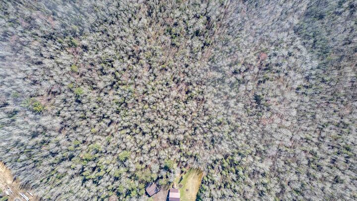 Property Photo: 56xx McQuade Rd MN 55804