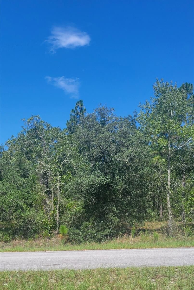 Property Photo: 0 SW Big Bear Ridge FL 34431