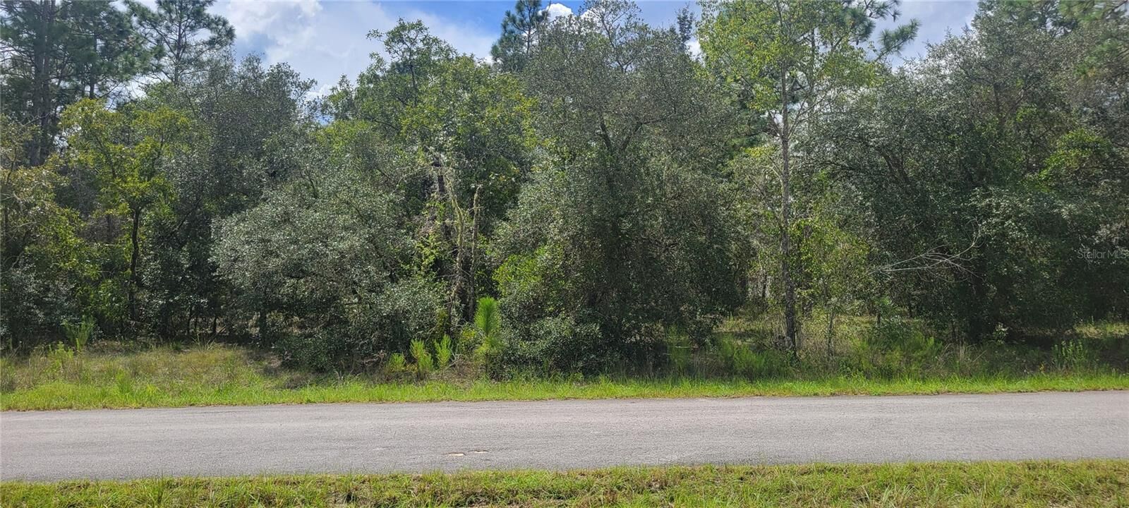 Property Photo: 0 SW Big Bear Ridge FL 34431